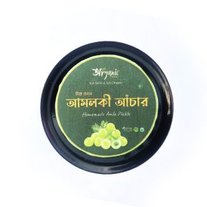 Authentic Homemade Amla Pickle from top view
